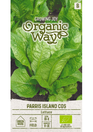 Saláta Parris Island Kos OW SL