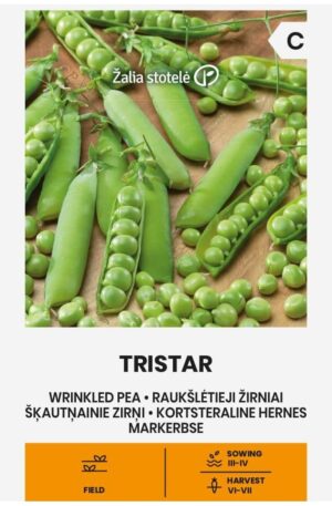 Borsó Tristar Z.S SL