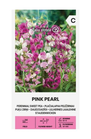 Szagos bükköny Pink Pearl Z.S SL