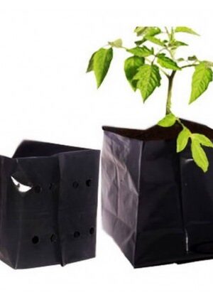 Ültető zacskó 100 db-os 1L-es SL