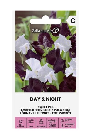 Szagos bükköny Day & Night Z.S SL