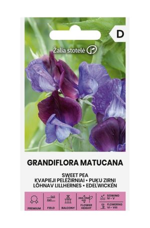 Szagos bükköny GRANDIFLORA MATUCANA Z.S SL