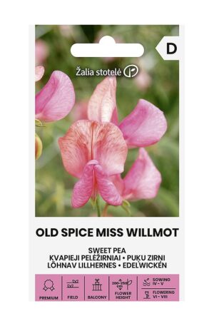 Szagos bükköny OLD SPICE MISS WILLMOT Z.S SL