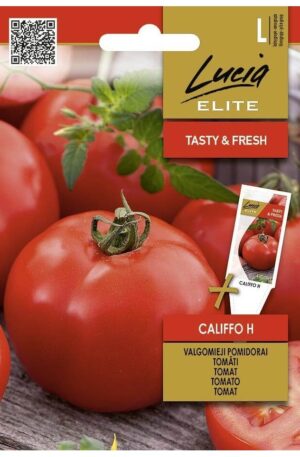 Paradicsom Califfo Hibrid ELN SL