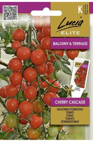 Paradicsom Cherry Cascade ELN SL