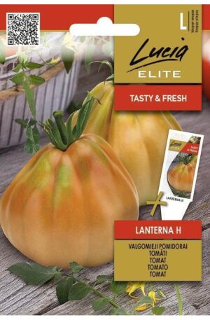 Paradicsom Lanterna Hibrid ELN SL