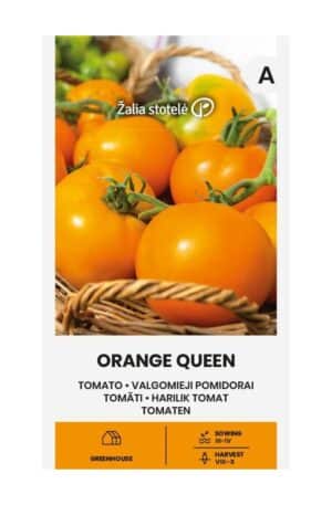 Paradicsom Orange Queen Z.S SL