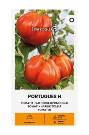 Paradicsom PORTUGUES Hibrid Z.S SL