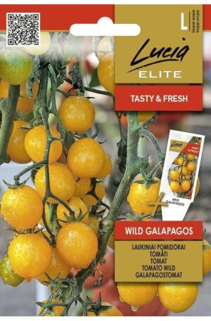 Paradicsom Wild Galapagos ELN SL