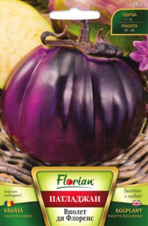 Padlizsán Violette de Florence Florian Bg