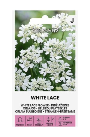 Nagyvirágú laputurbolya White Lace Z.S SL