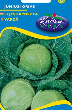 Káposzta Júniusi óriás RK