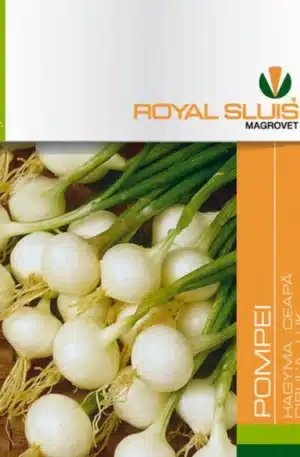 Hagyma Pompei Gyöngyhagyma Royal 1