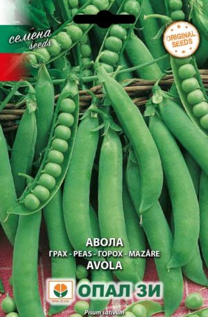 .Borsó Avola Opal Bg 2025-év lejáratú /2 db