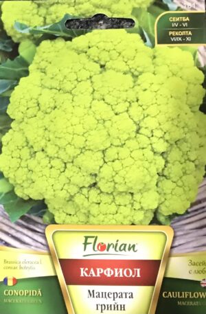 .Karfiol Macerata Green Florian Bg 2026 év lejáratú