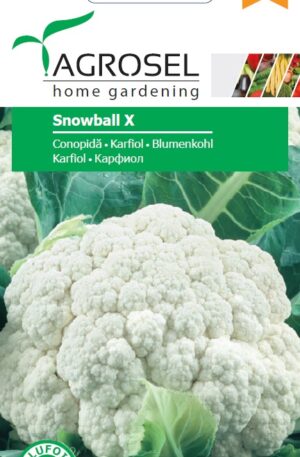 .Karfiol Snowball X Ag 2 2026 év lejáratú