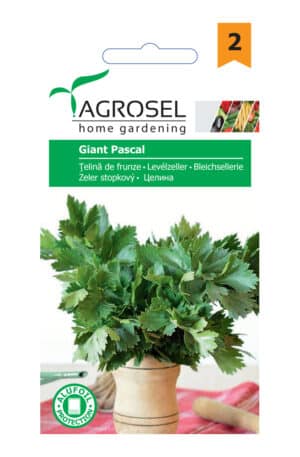 .Levélzeller Giant Pascal Ag 2 2026 év lejáratú