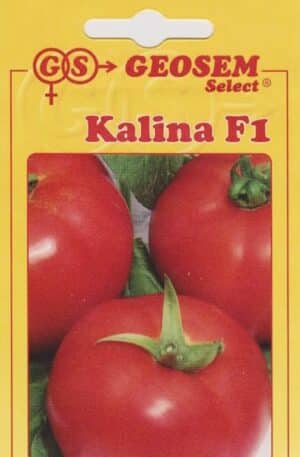 .Paradicsom Kalina F1 250 szem Geosem 2026 év lejáratú