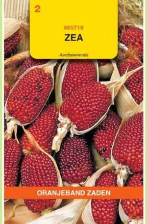 .Díszkukorica Aardbeienmais OBZ H 2026 év lejáratú