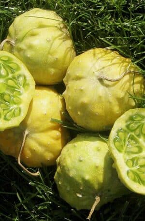 .Kiwano Jelly Rund B-S 2026 év lejáratú