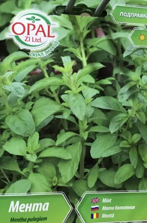 .Menta-Csombormenta Opal Bg 2026 év lejáratú
