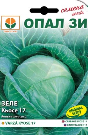 .Káposzta Kyose 17 Opal Bg 2026 év lejáratú