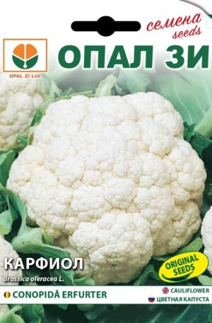 .Karfiol Erfurter Opal Bg 2026 év lejáratú