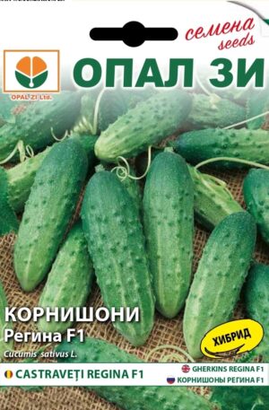 .Uborka Regina F1 Opal Bg 2026 év lejáratú