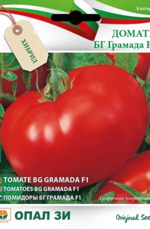 .Paradicsom Gramada F1 Opal Bg 2026 év lejáratú