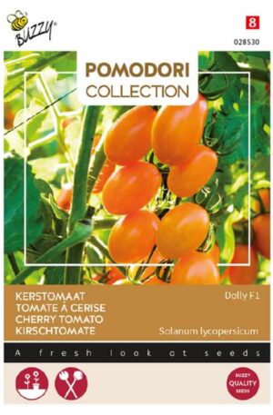 .Paradicsom Dolly F1 Bz Pomodori Collection H 2026 év lejáratú