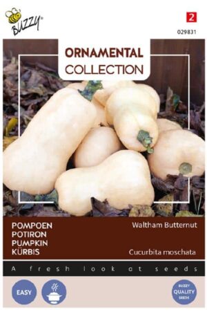 .Sütőtök Waltham Butternut Ornamental Collection H 2026 év lejáratú