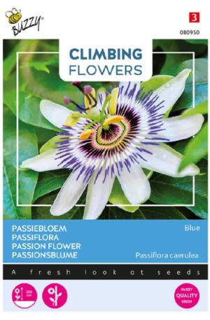 .Golgotavirág Blue Climbing Flowers Bz H 2026 év lejáratú