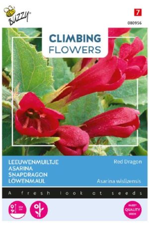 .Futó oroszlánszáj Red Dragon Climbing Flowers Bz H 2026 év lejáratú