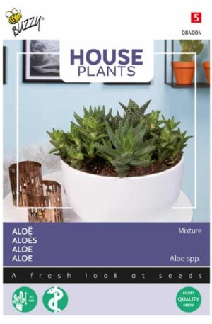 .Aloe mix House Plants H 2026 év lejáratú