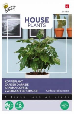 .Kávécserje mag Coffea arabiga nana Bz-House H 2026 év lejáratú