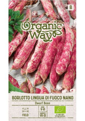 .Bab Borlotto Lingua Di Fouco Nano bokorbab (Szárazbab) SL OW