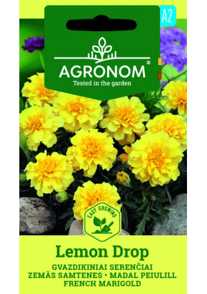 .Büdöske Lemon Drop SL AGR 2026 év lejáratú