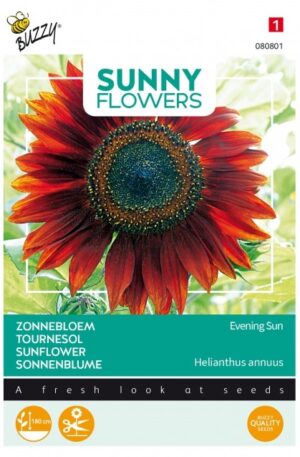 Dísznapraforgó Evening Sun Sunny Flowers Bz H