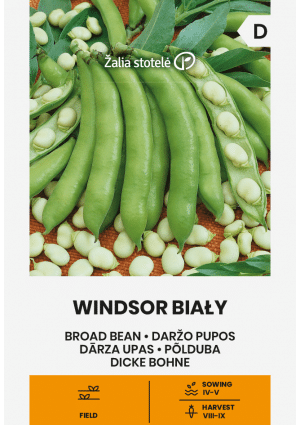 .Bab WINDSOR BIAŁY (Lóbab) Z.S SL 2026 év lejáratú