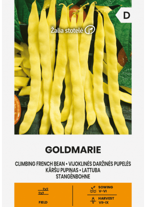 .Bab Goldmarie (Zöldbab) karósbab Z.S SL 2026 év lejáratú