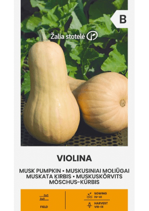 .Sütőtök-Pézsmatök Violina Z.S SL 2026 év lejáratú