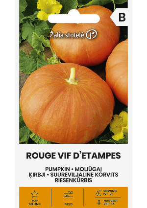 .Sütőtök-Dekortök Rouge Vif D’etampes Z.S SL 2026 év lejáratú