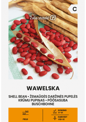 .Bab Wawelska (Szárazbab) bokorbab Z.S SL 2026 év lejáratú