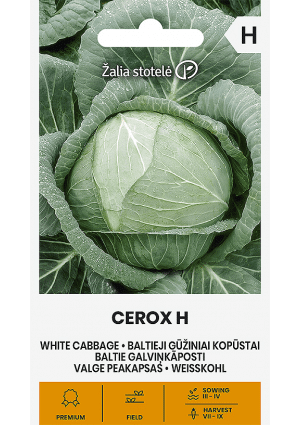 .Káposzta Cerox Hibrid fejeskáposzta Z.S SL 2026 év lejáratú
