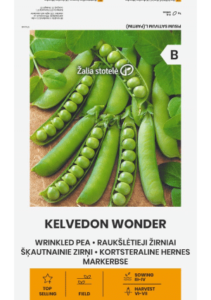 .Borsó Kelvedon Wonder velőborsó-törpeborsó Z.S SL 2026 év lejáratú