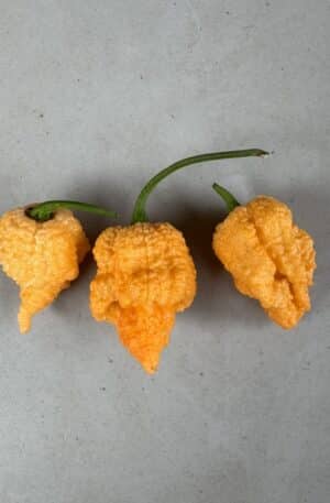 Friend Chicken Chilipaprika